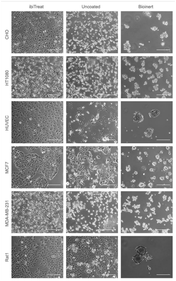 ibiTreat, &aelig;?&ordf;&aring;??&egrave;&cent;&laquo;, Bioinert&egrave;&iexcl;&uml;&eacute;?&cent;&aring;?&uml;&ccedil;&raquo;?&egrave;??&aring;?&sup1;&aring;?&raquo;&aelig;??&aring;?&micro;&auml;&cedil;?&ccedil;??&aring;&macr;&sup1;&aelig;&macr;?&aring;?&frac34;.png